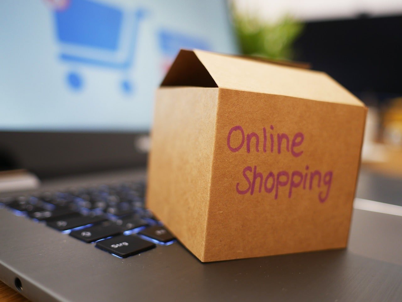 Dropshipping webshop